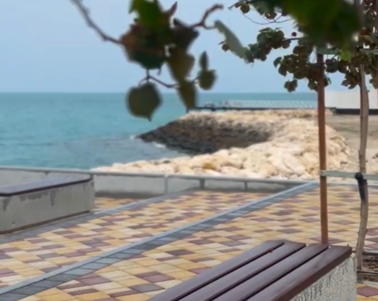 شاطئ دلمونيا