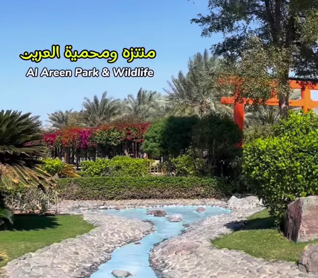 محمية محمد بن زايد الطبيعية