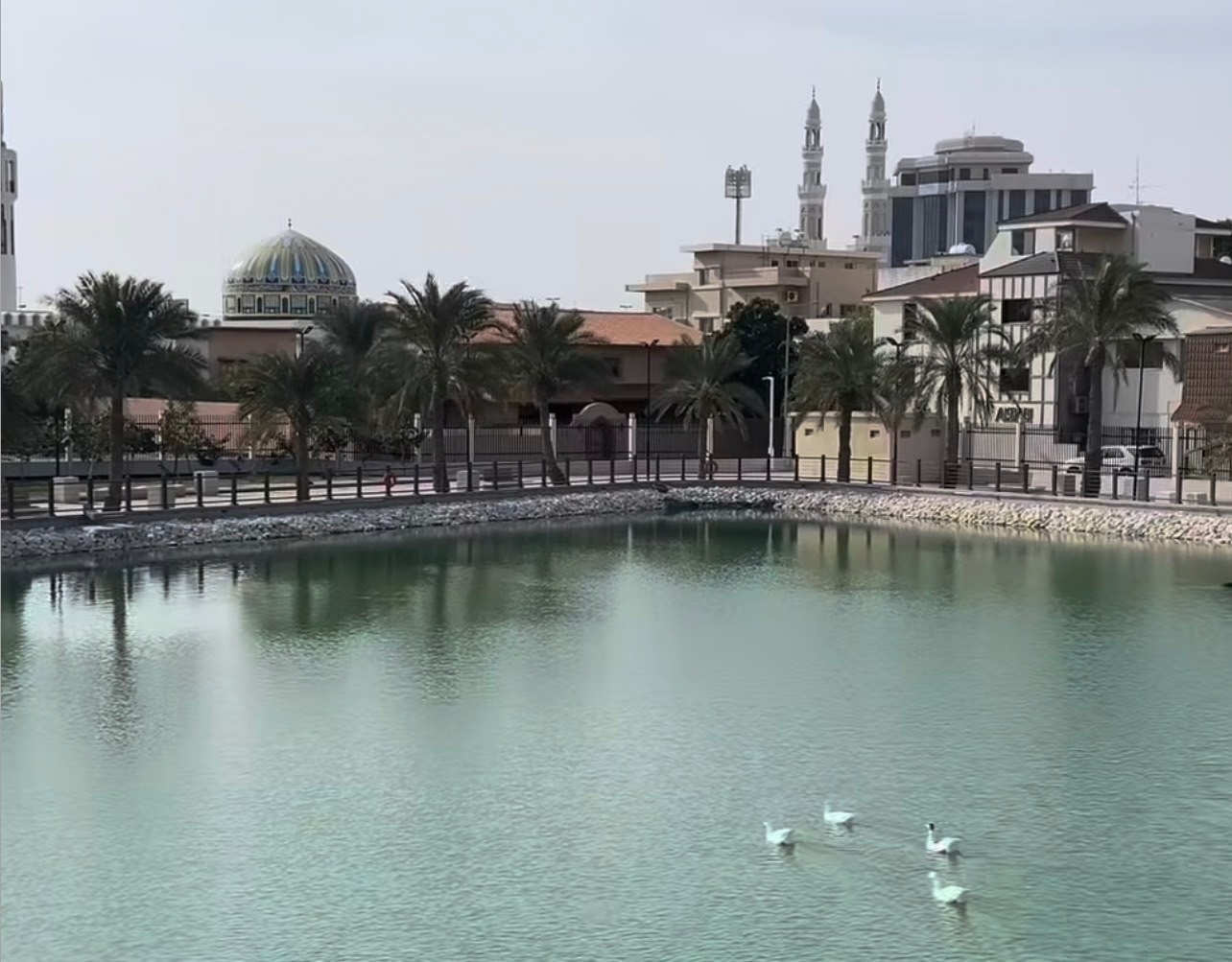 الحديقة المائية